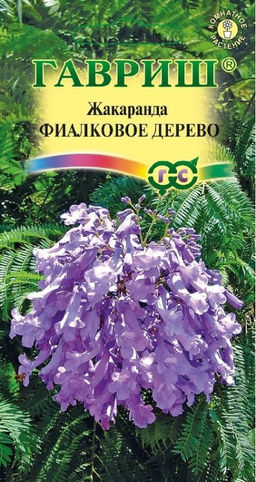 Жакаранда Фиалковое дерево 3шт (г)