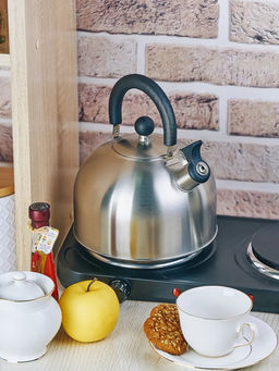 Чайник 3,2 л арт. КТ-104 Катунь