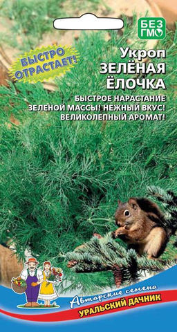 Укроп ЗЕЛЁНАЯ ЁЛОЧКА  Кусты словно благородные красавицы ели с обилием густых, пышных, узорных, зелёных веточек!