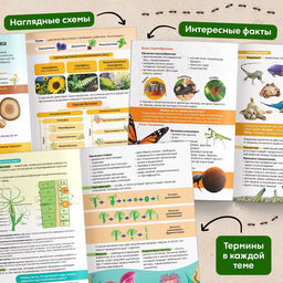 Энциклопедия в мягком переплёте «Биология для детей», 68 стр.