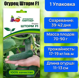 3104P Огурец ШТОРМ F1 5шт