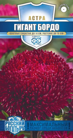 Гигант Бордо игольчато-коготковая астра0,05гр (г)