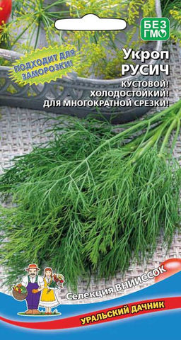Укроп РУСИЧ  Идеален для заморозки! Кустовой! Холодостойкий! Для многократной срезки!