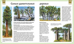 Универсальная школьная энциклопедия (нов.оф.). Перруден Ф., Камбурнак Л., Симон Ф.,... - Махаон фото 4