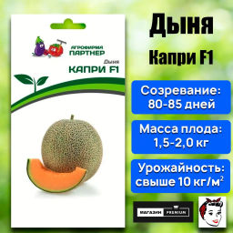 Дыня Капри - Партнер фото 2