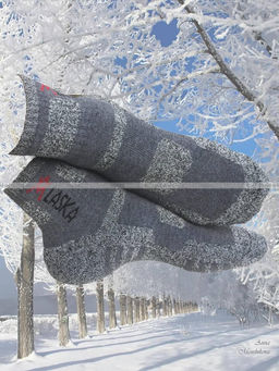 Цена за 12 пар. "АЛЯСКА" Термоноски спортивные ВНУТРИ МАХРА женские, подростковые арт. 1258