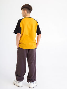 Футболка reglan, горчица - Inzibe фото 3