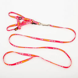 Комплект GlaМууур, шлейка 26-39 см, поводок 120х1 см - Пушистое счастье фото 3