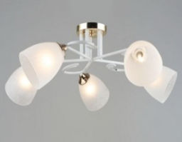 Люстра Эконом ES-001516-5GD