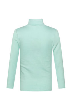 Джемперводолазка цвета лед