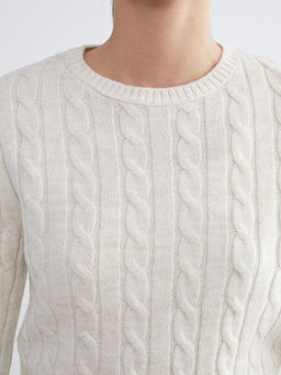 Bisiklet Yaka Kendinden Desenli Kad?n Triko Kazak