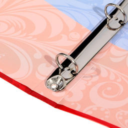 Папка школьная на кольцах «Портфолио российского школьника», без разделителей, 24.5×32 см