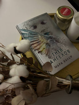 Ангельская сага. Гнев ангелов (#2)