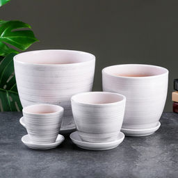 Набор горшков для цветов День, 4 шт., с поддоном, 0.4 / 1 / 2.5 / 5 л, керамика, белые