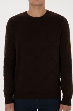 Erkek Regular Fit Bisiklet Yaka Koyu Kahverengi Kazak - U.s. polo assn фото 6
