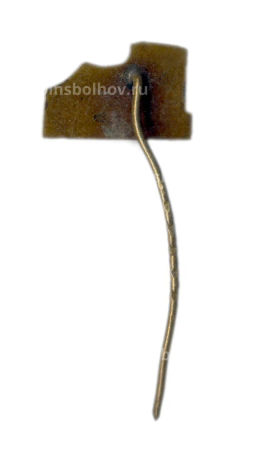 Значок Каунас