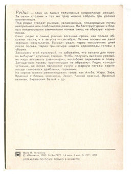 Открытка Редис