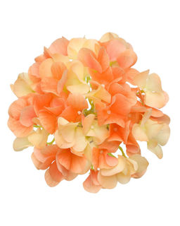 Гортензия соцветие (без стебля) - Персиковый - Real touch фото 2