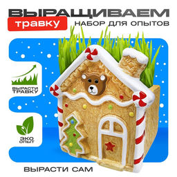 Набор для опытов Выращиваем травку, домик - Эврики фото 9
