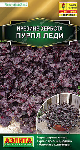 1461A Ирезине Пурпл леди 5шт