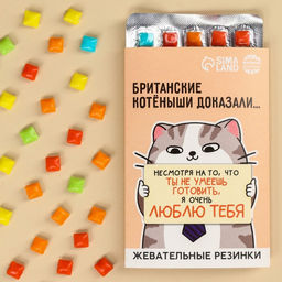 Жевательная резинка Ты не умеешь готовить в блистере, 11, 5 г.