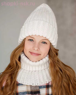 Q 193 D 193 Комплект флис (колпак+снуд) (52-54)