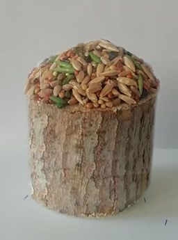 БОСПА ЭКО Пенёк с овощами д/грызунов