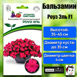 3403P Бальзамин F1 крупноцветковый РОУЗ ЭЛЬ 5шт