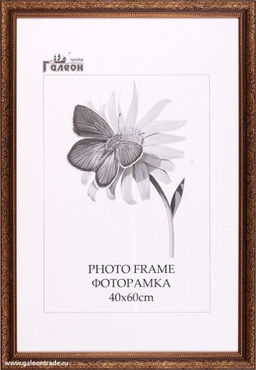 Цена за 1 шт. Фоторамка 40х60 / 10057-1 /