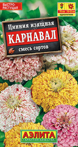 Цинния Карнавал, смесь сортов