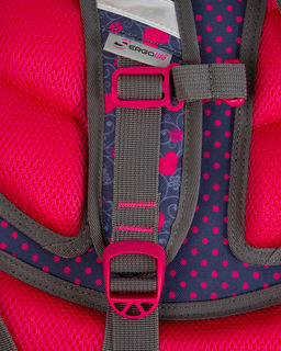 Школьный рюкзак SK2-26 - Steiner фото 15