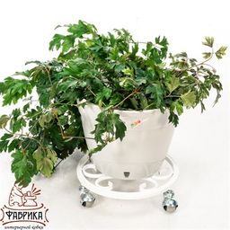 Подставка для цветов напольная 21-002W - Фабрика интерьерной ковки фото 4