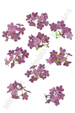 Головки цветов "Гортензия" 4 см (20 шт) SF-7874, пенка