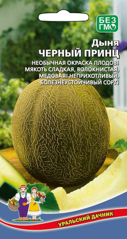 Дыня ЧЁРНЫЙ ПРИНЦ  Необычная окраска плодов! Мякоть сладкая, волокнистая, медовая! Болезнеустойчивая!