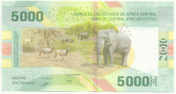 Банкнота 5000 франков 2020 года Центральная Африка