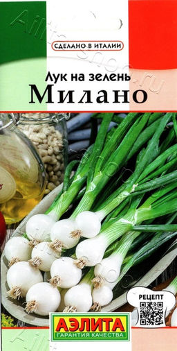 Лук на зелень Милано 0,5г (Аэлита)