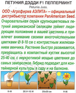 Петуния Дэдди F1 пепперминт 7шт. (Аэлита)
