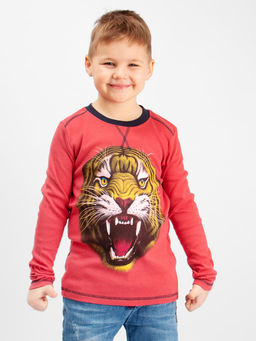 Кофта для мальчика Bonito