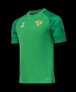 Футболка вратарская JOGEL NATIONAL PerFormDRY GK Jersey, зеленый