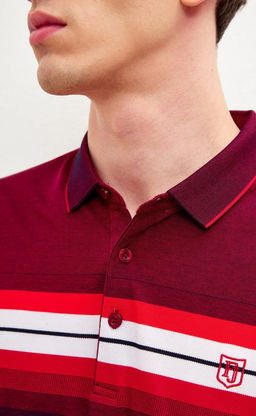 Футболка-поло мужская в полоску F311-07-601 бордовая