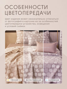 Покрывало двухстороннее Aurora Veil PAV003 200*240 - Ситрейд фото 10