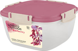 Контейнер д/продуктов Sugar&Spice Barberry/Wood квадратный 1л арт.SE2243