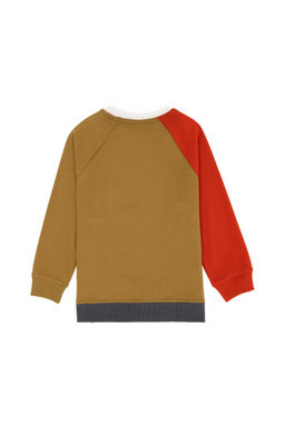 U. S. Polo Assn / Детский светлый свитшот цвета хаки с круглым вырезом - U.s. polo assn фото 2