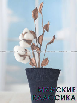 Цена за 10 пар. Легион носки мужские синие