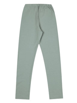 Легинсы 1ДРЛ1982804