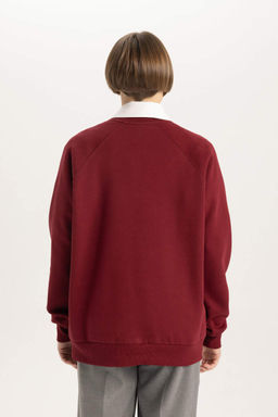 Толстый свитшот оверсайз с круглым вырезом - Defacto фото 6