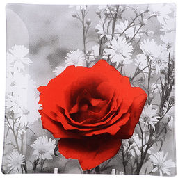 575А Н-р тарелок из 7шт Аркофам(х8)