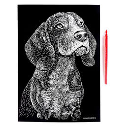 Гравюра «Бигль» с металлическим эффектом золота А4