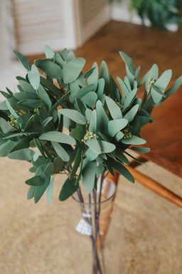 087 Эвкалипт Николя - Без тм фото 2