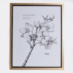 Фоторамка 40х50 / 10202-3/